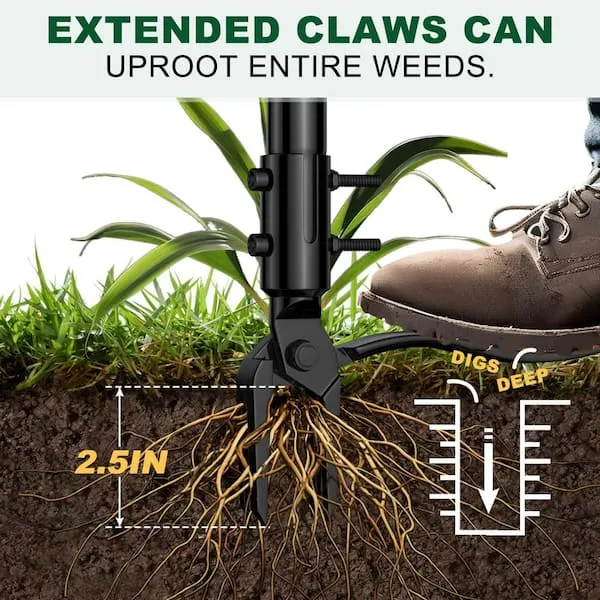 Angel Sar 64 in. 4 Claws 3 Lengths of Adjustable Stainless Steel Stand Up Hand Weeder with Long Handle, Detachable Weed Puller XCQY1335 - The Home Depot