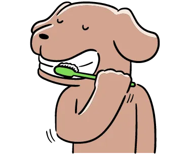 Dog-Toothbrush-Toy
