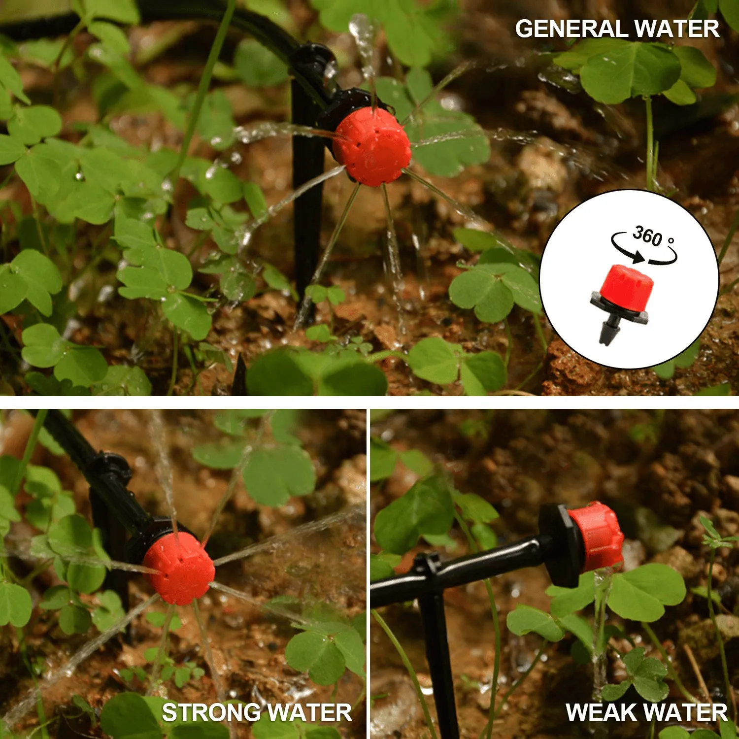 ๐ฅLast Day Promotion-59% OFF๐ฅ - Fog Cooled Automatic Irrigation System
